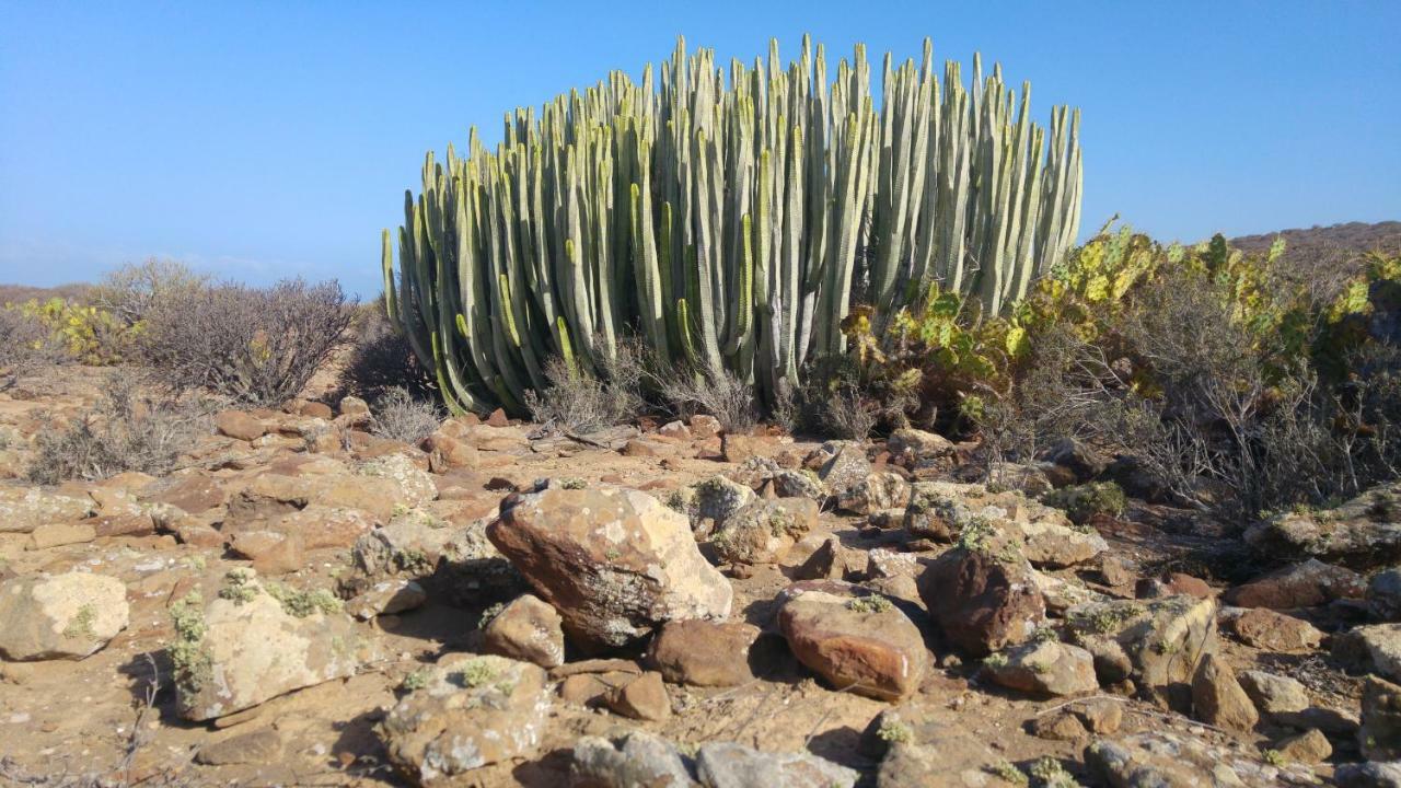 C101 Los Balandros Palm-mar Bagian luar foto
